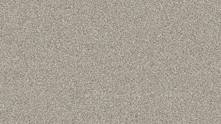 Champagne Metallic Champagne Metallic