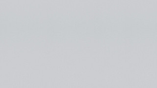 Cool Grey Cool Grey