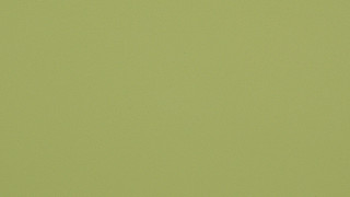 Grass Green Grass Green