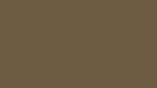 Misty Brown Misty Brown