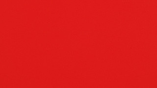 Poppy Red Poppy Red