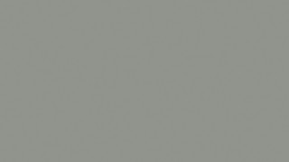 Warm Grey Warm Grey