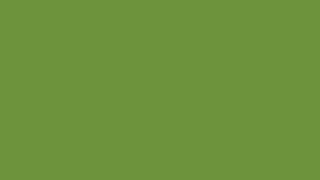 Zesty Lime Zesty Lime